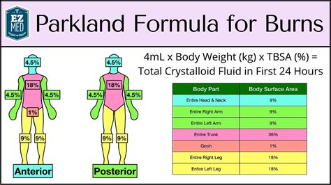 Parkland Formula for Burns: Adult & Pediatric Fluid Resuscitation [Nursing] - YouTube