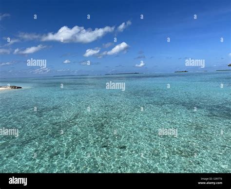 Turquoise blue sea in the Maldives Stock Photo - Alamy