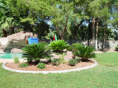 Palm Trees, Flagstone & Additional Tropical Feel - Cacti Landscapes