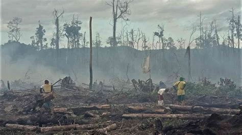 Riset tunjukkan cara baru penyelamatan lahan gambut yang bisa menguntungkan masyarakat sekaligus ...