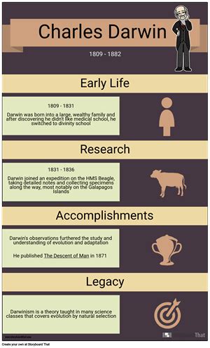 History Infographic Template — Timeline Infographic Maker