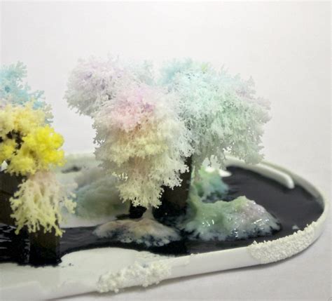 Salt Crystal Growth