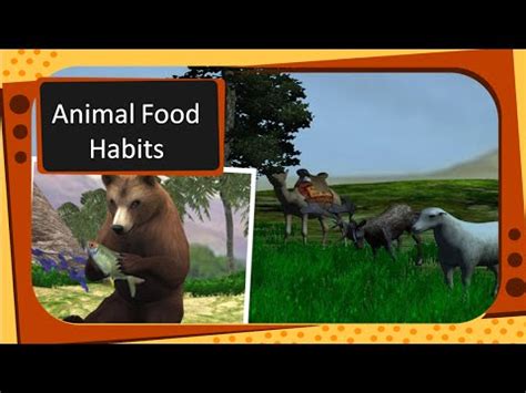 Eating Habits Of Animals - Feeding Habits of Animals : Eating animals ...