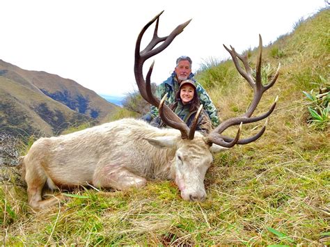 White Stags in New Zealand · New Zealand Safaris