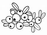 Cranberry Coloring Pages To Print  Free Printable sketch template