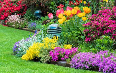 Seasonal Flower Program for Commercial Properties - Commercial ...