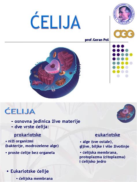 01 Celija | PDF