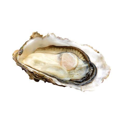 Fanny Bay Oysters - EURO USA