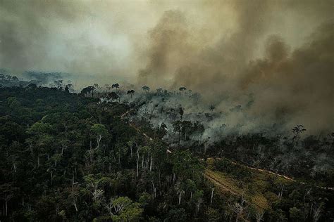 Las 3 causas de los incendios en el Amazonas - Greenpeace Colombia