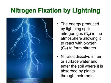 Nitrogen Fixation