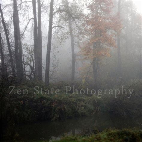 Foggy Forest Photograph. Nature Photography Print. Creek Photo - Etsy