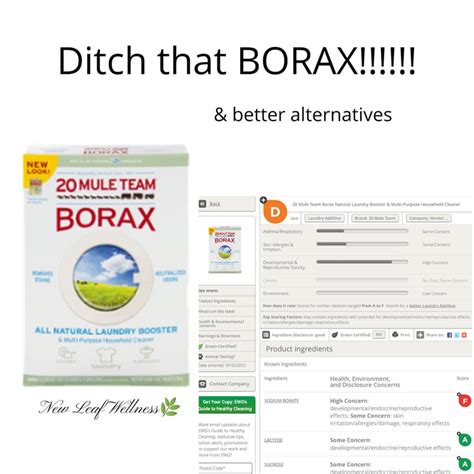 Ditch That Borax & Better Alternatives | New Leaf Inspired Living