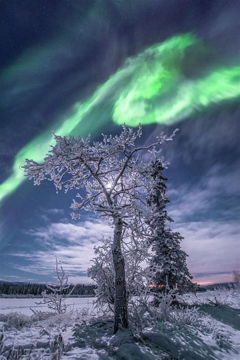 Northern Lights, Yukon, Canada Photograph by Jonathan Tucker - Fine Art America