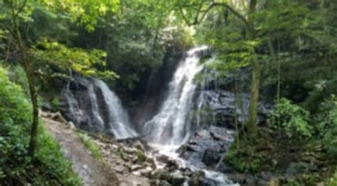 Discover the Best Waterfalls in Western NC