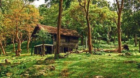 What are the different types of forests in India?