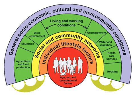 Perceptions of health as social constructs – HSC PDHPE