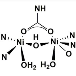 | Structure of Urease (Mazzei et al., 2019). | Download Scientific Diagram