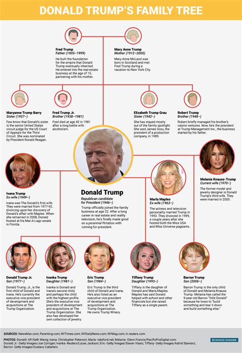 Best 25+ Trump family tree ideas on Pinterest | Eric trump, Melania ...