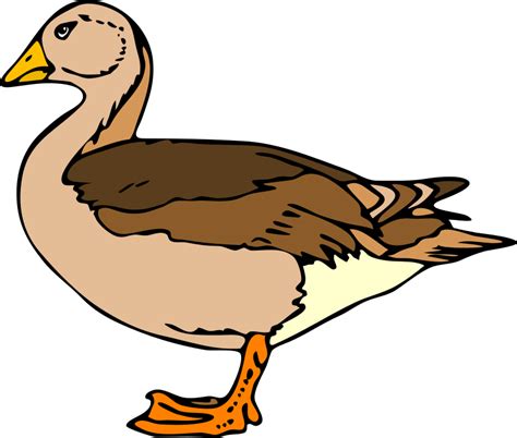 Goose clipart geese a laying, Goose geese a laying Transparent FREE for ...