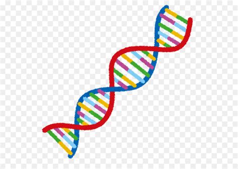 Download High Quality dna clipart cartoon Transparent PNG Images - Art ...