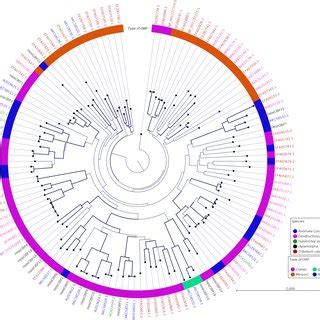 Identification of candidate chemosensory receptors in the antennal transcriptome of the large ...