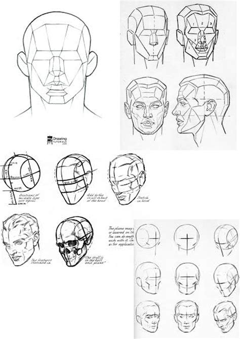 Face Structure Ref 1 | Face structure drawing, Planes of the face, Face ...