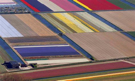 Tulip Fields Aerial Photos Netherlands | Time