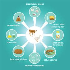 INTENSIVE FARMING-FEATURES, ADVANTAGE & DISADVANTAGE - Agriculture Wale