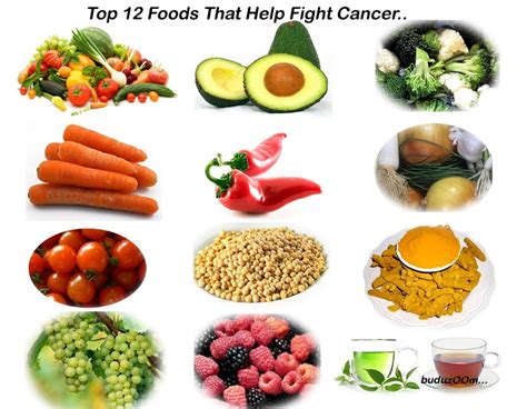 complete health and diet help: Top 12 foods that help FIGHT cancer