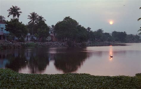 Sunset at Velachery Lake, Chennai | Sunset at Velachery Lake… | Flickr