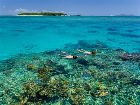 Green Island & Great Barrier Reef Snorkelling - Great Adventures Cruises | Great Adventures