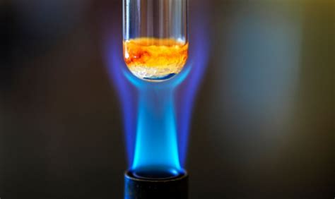 What Is a Combustion Reaction? - The Habitat