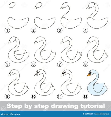 Swan Drawing Step By Step