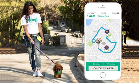 Walking App “Wag” Gets $300 Million Investment from Unlikely Source – Top Dog Tips