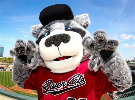 Sacramento River Cats Night April 14th! – Pocket Little League