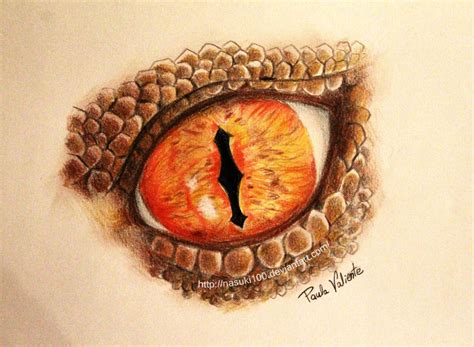 Smaug eye by Nasuki100 on DeviantArt