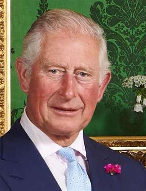 Charles, Prince of Wales | Prince of wales, Cool portraits, British royal family