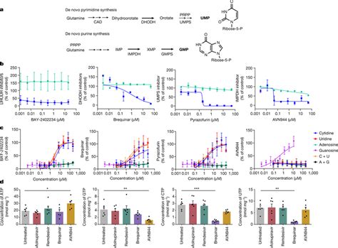 Inhibitors of host nucleoside metabolism are antiviral a, Simplified... | Download Scientific ...