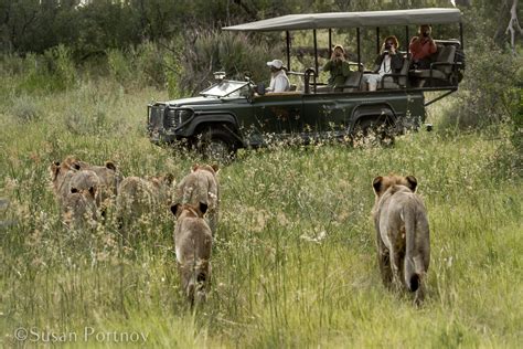 10 of the Best Africa Photo Safari Tours in the World