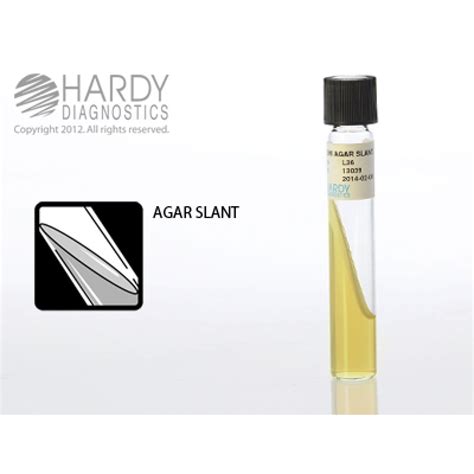 Hardy Diagnostic L36 Liquid Culture Media, BHI Agar Slant Tube, 365 Day Shelf Life (Pack of 20 ...