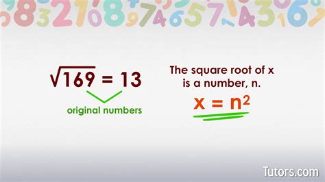 Square Root Of 169 | How To Find (Video)