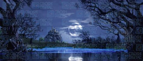 Swan Lake Projected Backdrops - Grosh Digital | Swan lake, Lake, Lake water