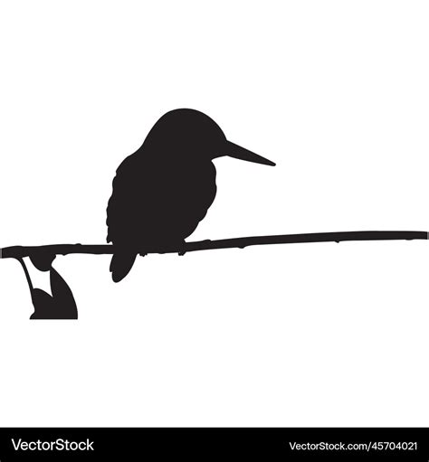 Common kingfisher silhouette Royalty Free Vector Image