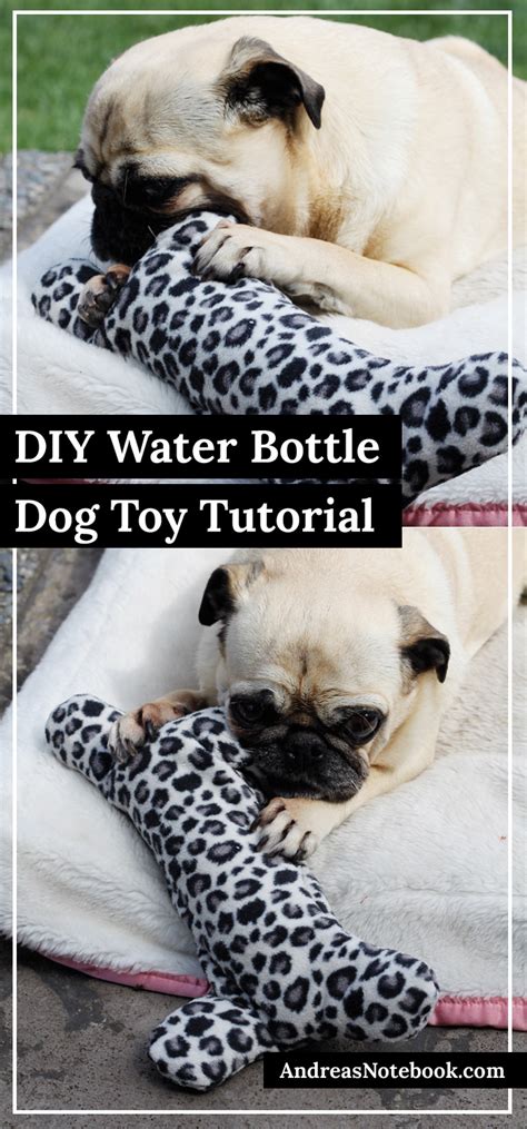 DIY Homemade Water Bottle Dog Toy Tutorial