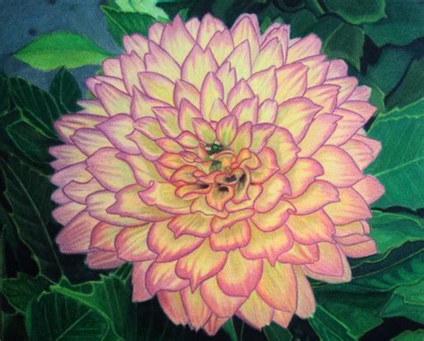 Chithra Priya's Art Blog: Dahlia Flower - Finished