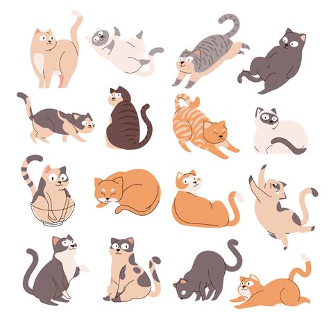 A Collections of Cute Cat with Various Poses Gesture, Streching ...