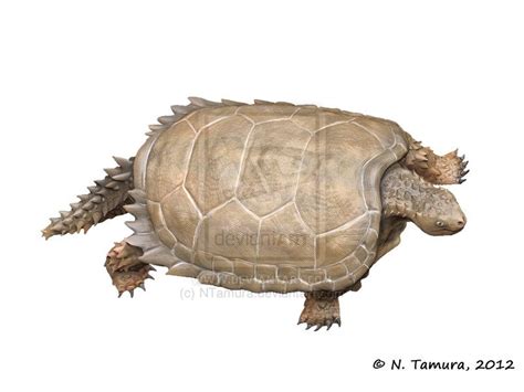 Proganochelys | Prehistoric animals, Paleo art, Prehistoric