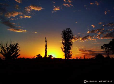 Desde Mi Optika: Atardecer en el campo...