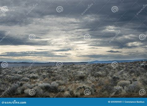 High Desert Landscape stock image. Image of landscape - 69590949