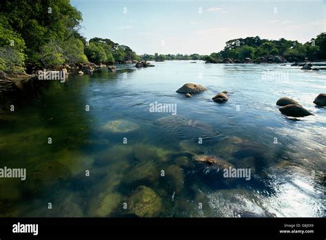 Kafue River High Resolution Stock Photography and Images - Alamy